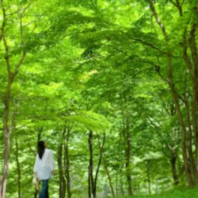 由井 京子